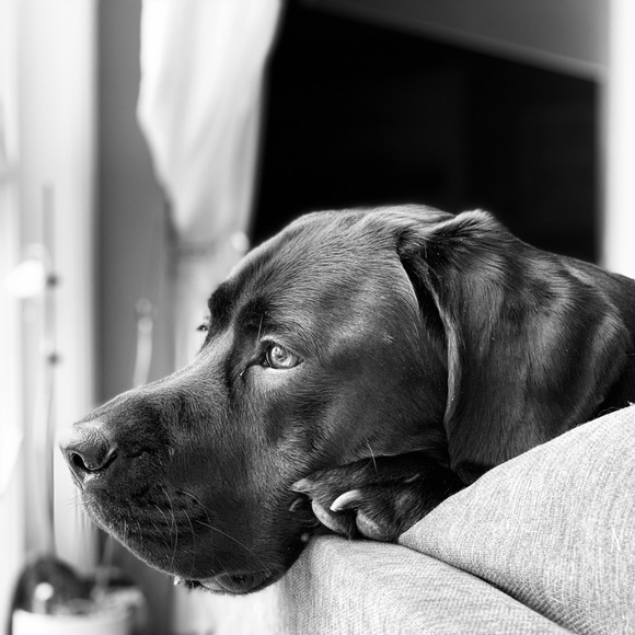 Meet your Posher, Claudia - Picture 1 of 1